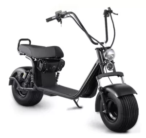 OBG Rides scooter V2 1000W